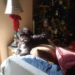 Meet your Posher, Marianne